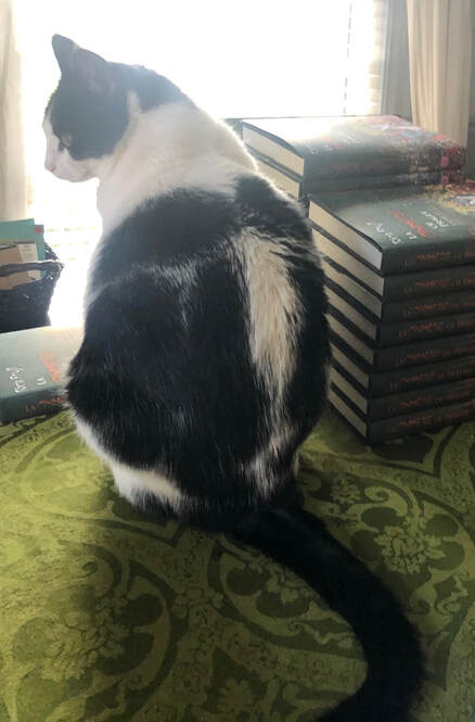 Photo of a black-and-white cat sitting on a table by a stack of hard cover books.